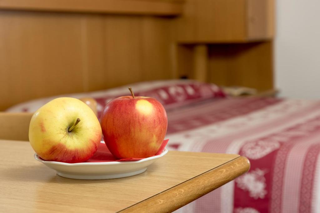 Hotel Garni Lastei 포자 디 파사 외부 사진